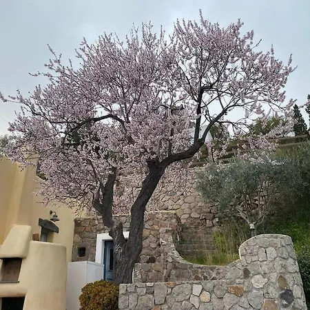 Сasa de vacaciones La Casa Del Mandorlo *