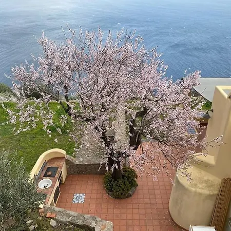 Holiday home La Casa Del Mandorlo