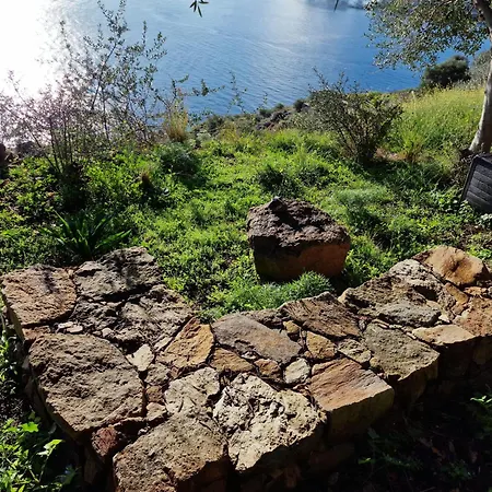 La Casa Del Mandorlo *