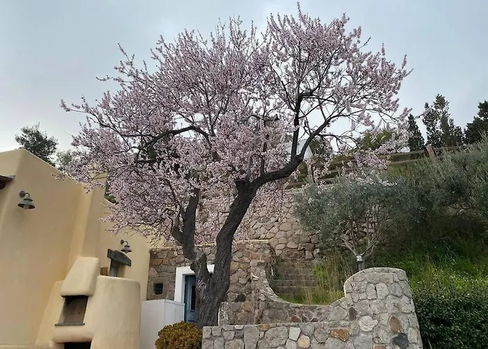 Vakantiehuis La Casa Del Mandorlo *