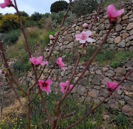 La Casa Del Mandorlo