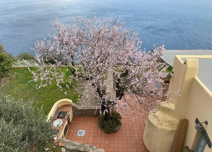 Holiday home La Casa Del Mandorlo