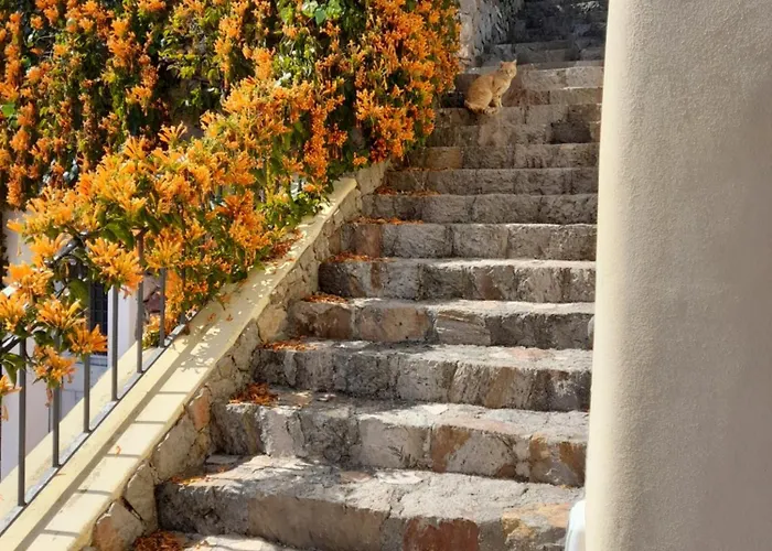 La Casa Del Mandorlo *